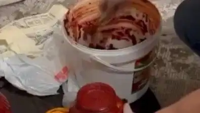 Salça Bidonunda Gözaltına Alınan Uyuşturucu Çetesi Tüm Ülkede Şok Yarattı