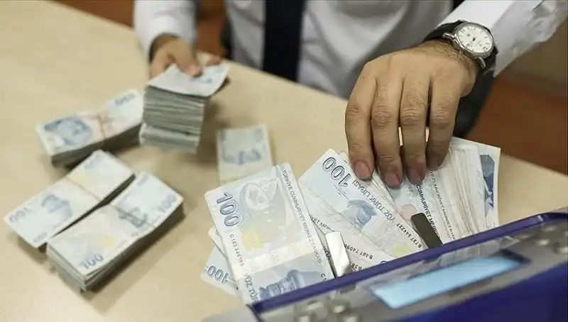 Bireysel Emeklilik Sistemi'nde Katılımcı Sayısı 17,36 Milyona Ulaştı!