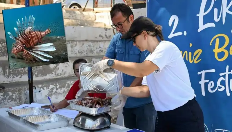Antalya'da İstilacı Aslan Balığı Avlama Yarışması: Denizlerimizi Koruma Mücadelesi