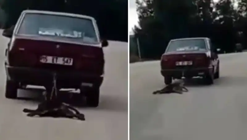 Otomobilin Arkasında Sürüklenen Köpek: Görülen Manzara Şok Edici!