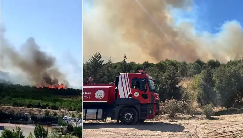 Gebze'de Çıkan Orman Yangını, Doğaya Tarihi Zarar Verdi