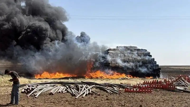 Mardin'de Korkutan Anız Yangını: Doğa ve Tarım Alanları Tehdit Altında