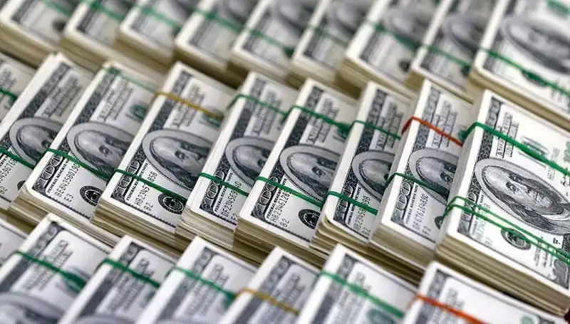 Doların Hızla Yükselişi: Ekonomistlerden Şok Tahminler!