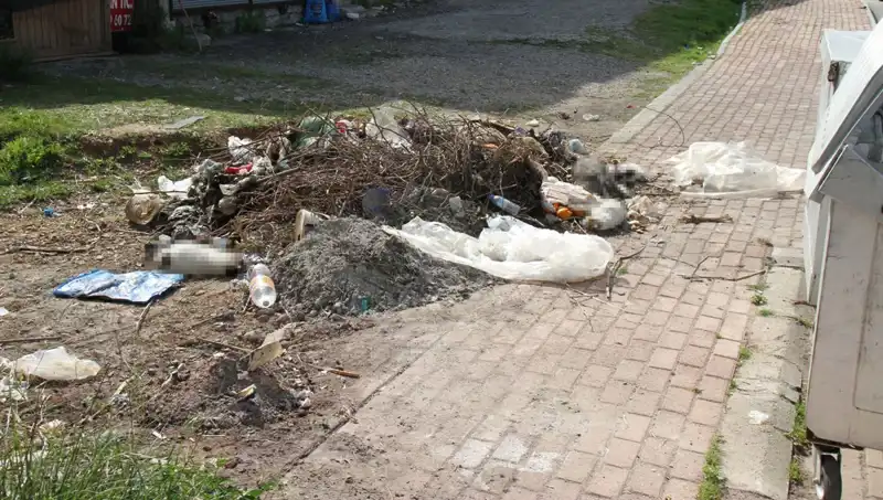 Antalya’da 10 Kedi Vahşice Öldürüldü, Şehir Sarsıldı!