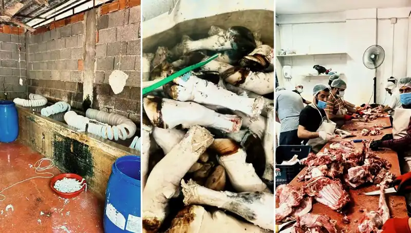 Adana'da İki Yüzlü İkram: Yüzlerce Kilo Paça Ele Geçirildi