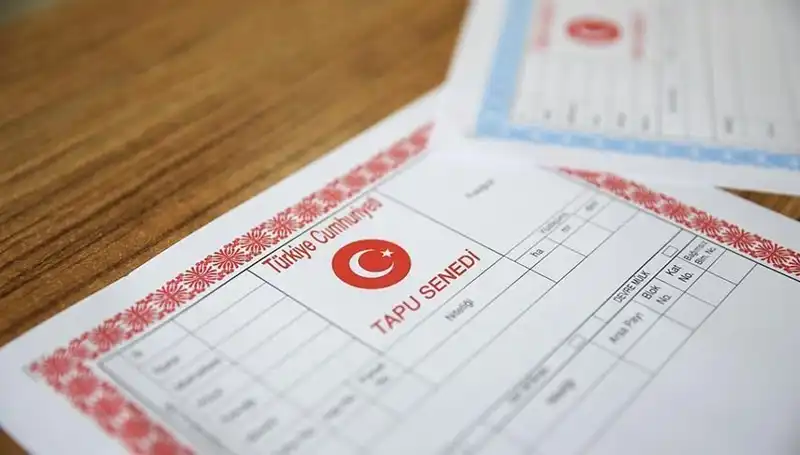 Hisseli Tapu İddiaları: 100 Milyonluk Dolandırıcılık Ağı Ortaya Çıktı