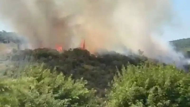 İstanbul'da Korkutan Orman Yangını: Vatandaşlar Derhal Tahliye Edildi