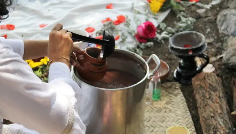 Ayahuasca: Şamanik Gelenekten Modern Dünya'ya Yolculuk