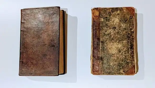 200 Yıllık Gizem: Katilin Derisiyle Ciltlenmiş Kitap Müze Rafında Keşfedildi