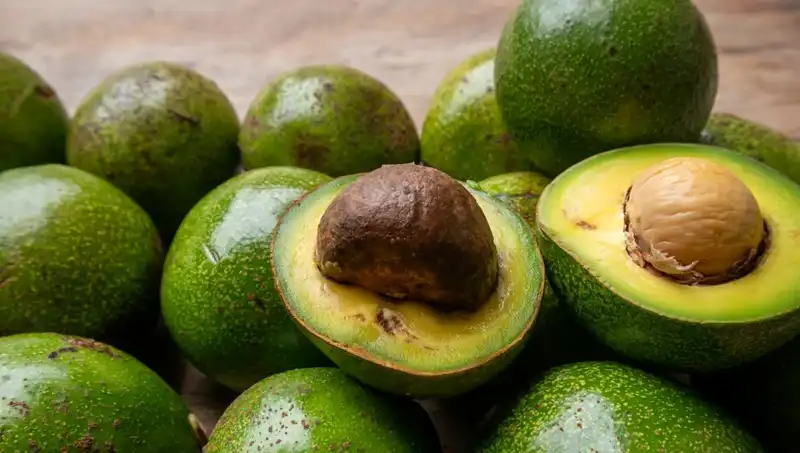 Avokado Çekirdeği Nasıl Kullanılır? Sağlığınıza Faydaları Neler?