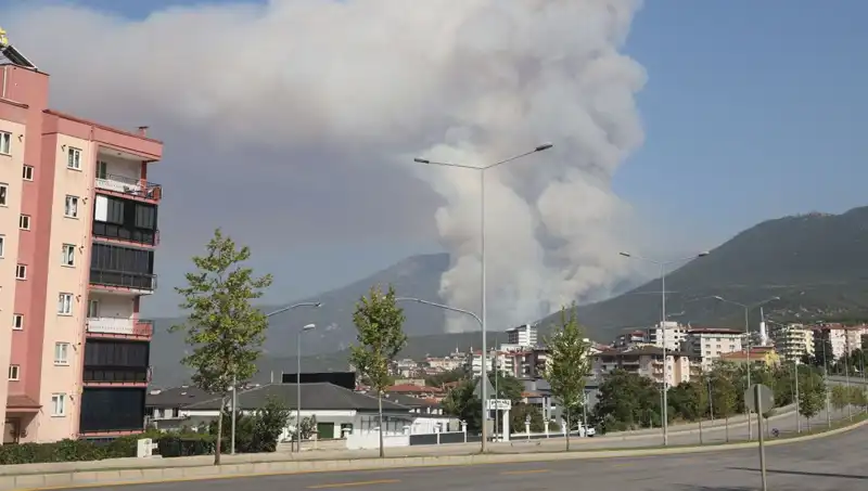 Denizli'de Orman Yangını: Şüpheli Gözaltına Alındı, İtfaiye Seferber Oldu!