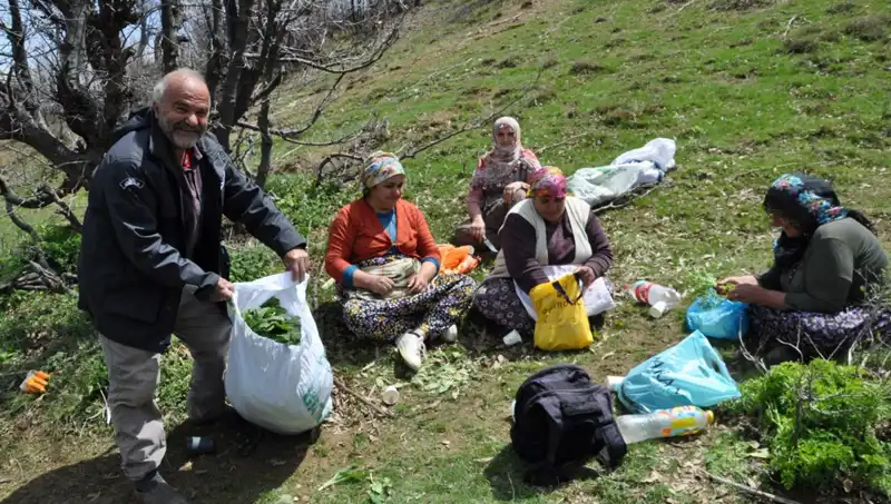 Yüzlerce Aileyi Hayatta Tutan Hazine: Her Gün 5 Saat Yürüyerek Toplanıyor