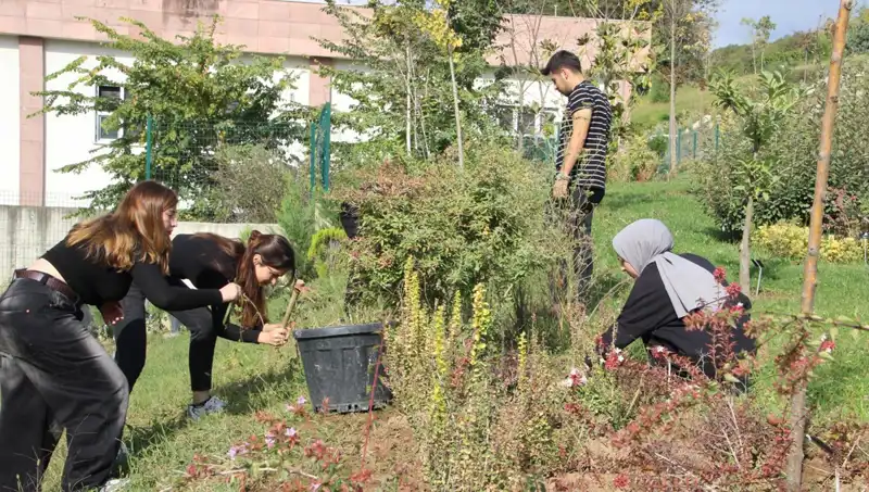 Düzce'nin Hayalini Gerçeğe Dönüştüren Başarı Hikayesi