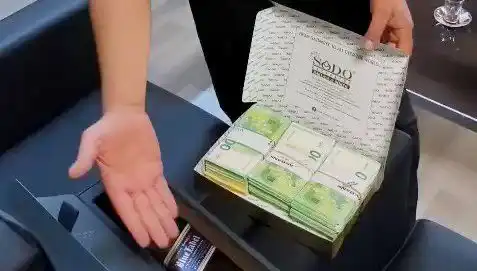 Manavgat Belediyesi'ne Yönelik Şaşırtıcı Operasyon: Baklava Kutusundan Avrolar Çıktı!
