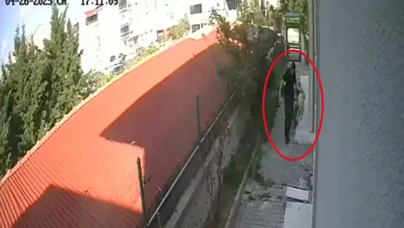 Veteriner Doktor, Sahiplendiği Köpekleri Evde Parçaladığı İçin Tutuklandı