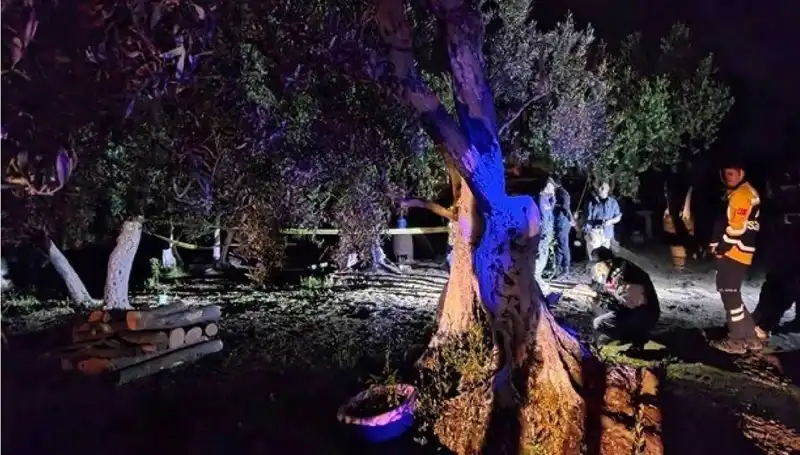 Çiftlikte Şok Edici Baltalı Vahşet: İlk Tutuklama Gerçekleşti!